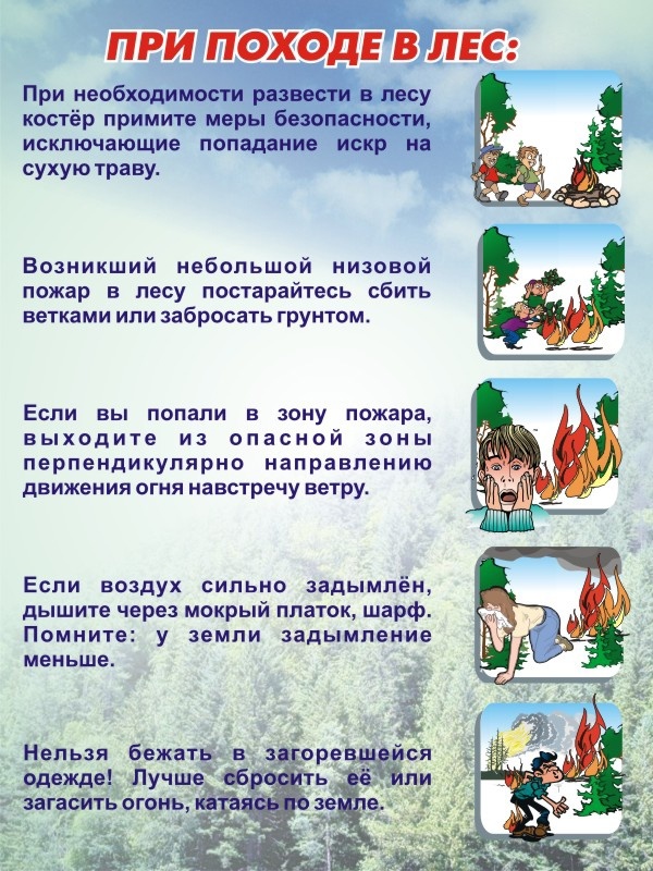 Правила безопасного поведения в лесу 1 класс перспектива презентация